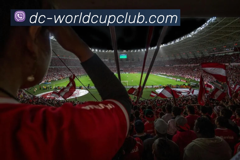 多媒体互动体验